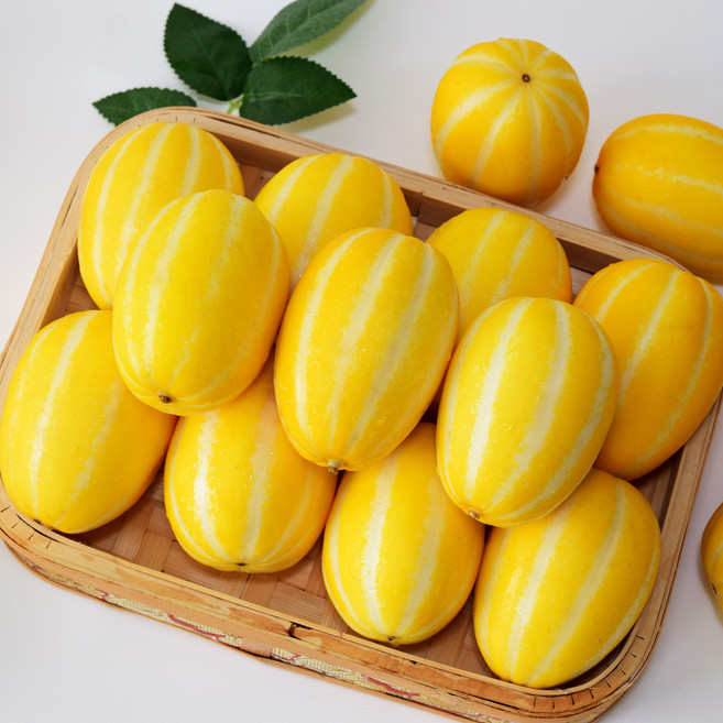 성주 원예 농협 꿀 참외 2kg 3kg 5kg 선물용 가정용, C. 성주 꿀참외 2kg, 1개