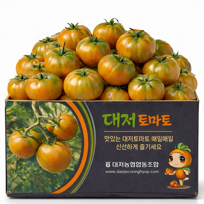 [타임특가] 고당도 대저토마토 짭짤이, 1박스, 2.5kg (L)