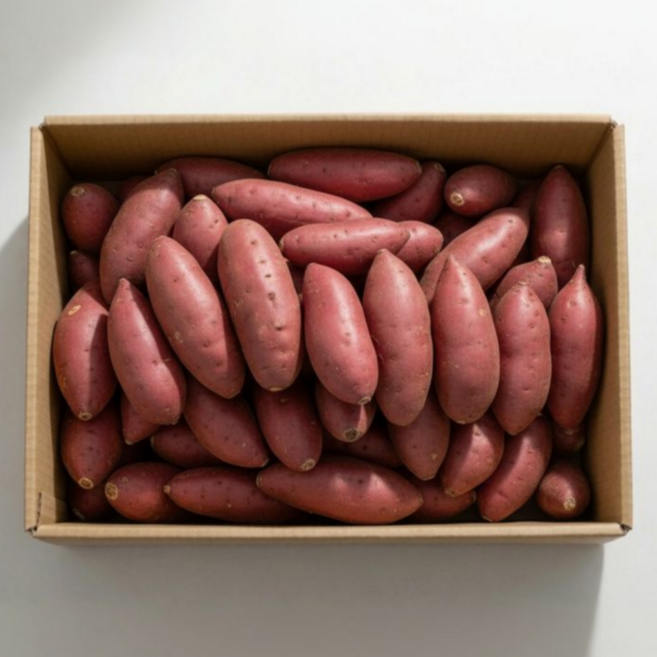 프리미엄 해남 세척 고구마 한입, 1박스, 10kg