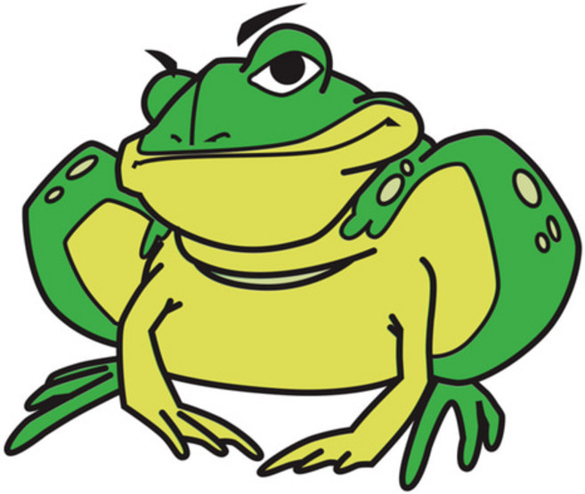 Toad Data Point Base edition 토드 영구 라이선스