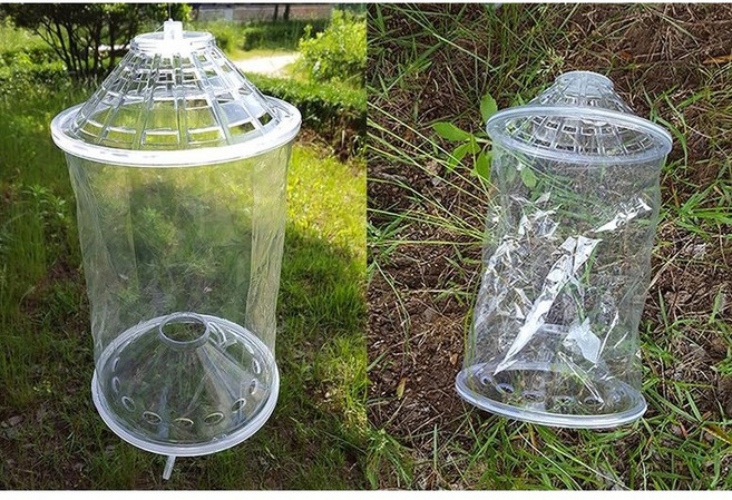 [낚시장터] 비닐어포기 미니통발 계곡낚시 계곡물놀이 통발 어린이낚시체험