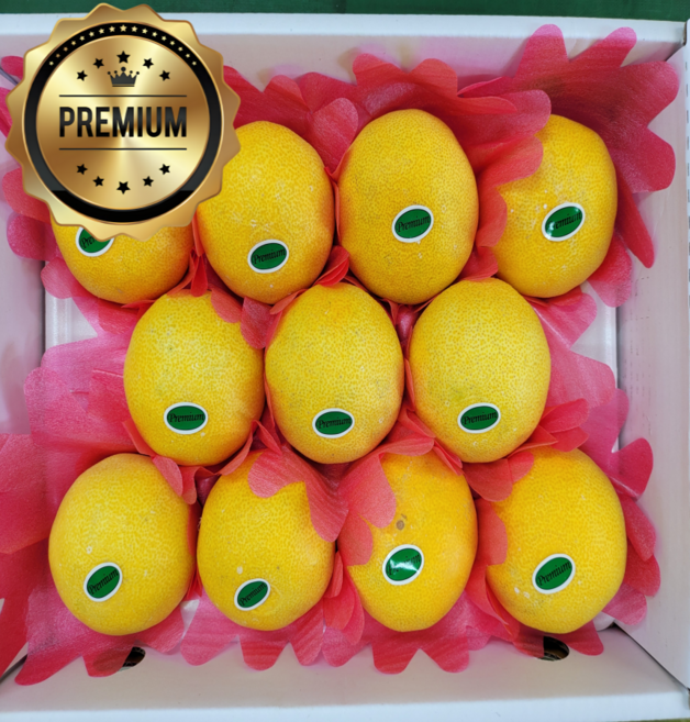 [자연가득팜]제주 산지직송 프리미엄 황금향 추석 선물세트 [보자기포장], 1개, 제주 황금향 선물세트 2kg