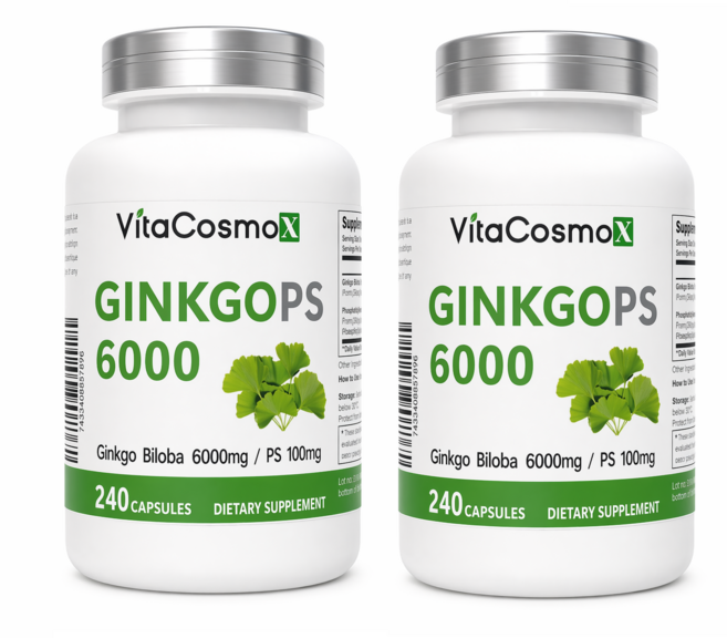 신제품 비타코스모 VitaCosmoX 포스파티딜세린 징코 PS 6000 (은행잎추출물+포스파티딜세린), 2개, 240정