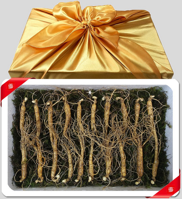 삼바이 산양산삼 5-6년근 선물세트 산삼 산양삼 장뇌삼 인삼 면역력 기력보강 설날 추석 설선물 설명절 추석선물 추석명절 명절선물, 20개