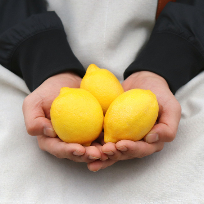 [농산물마루] 정품 레몬, 1박스, 4.8kg (40개 내외)