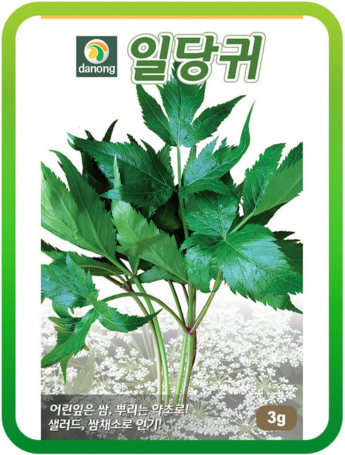 일당귀씨앗300g 당귀씨앗 풍에 좋은 약초 일당귀씨, 홍화씨300g, 1개