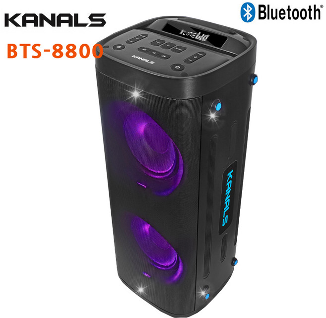 카날스 BST-8800 400W 버스킹 블루투스 행사 공연용스피커 8인치우퍼2개, 블랙