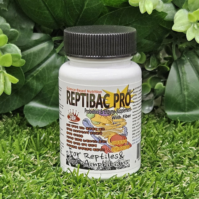 JIF 렙티박 프로 파충류 유산균 영양제, 1개