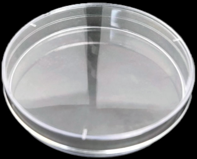 배양접시 [대] 10개 1set