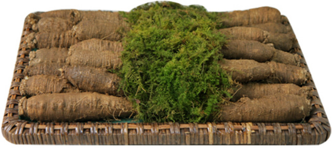 평창백덕산더덕 [고랭지더덕] 중 상 특 할인판매, 1박스, 더덕선물세트 특대 2kg