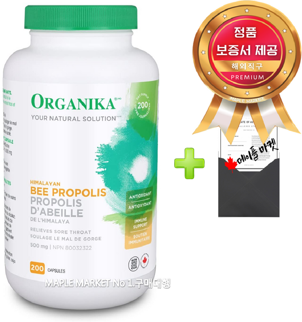 올가니카 히말라야 비 프로폴리스 캡슐 500mg 캐나다 직배송+정품보증서, 1개, 500mg 200캡슐, 200회분