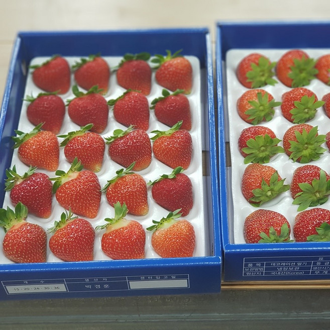대관령여름딸기20팩구성 데코레이션딸기20팩구성, 20팩, 20과20팩
