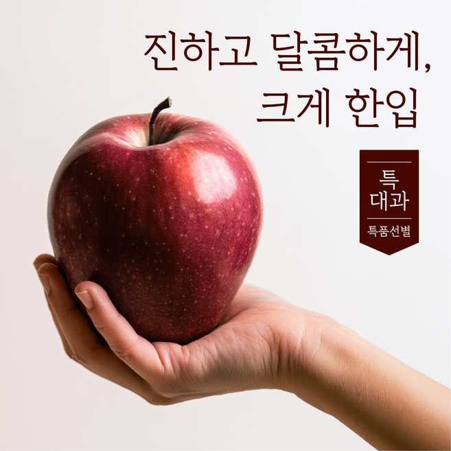 이지플사과 추천 순위 TOP6 — 2026년 9월 기준