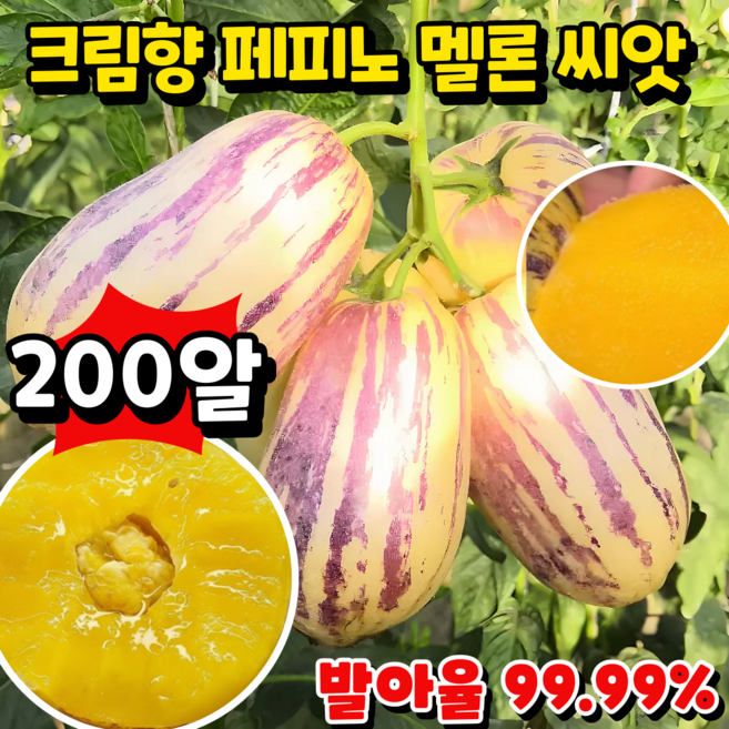 [100일 숙성] 크림향 우유향 황금 페피노 멜론 씨앗 크림향 페피노 5A급 페피노 씨앗, 2개