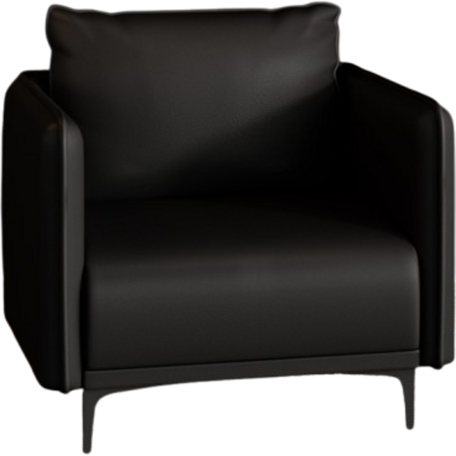 케어리오 편한 1인용 사무실쇼파 회의실 의자 사무용 로비 병원 호텔 중역용, 1인용 소파 1개, 블랙