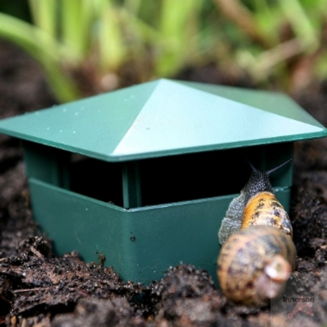 이너슨 달팽이 집 물달팽이