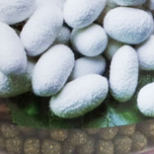 누에뽕잎 전통 환 면역력 혈관 건강 자연원료 활력 보충, 1개, 상세페이지 참조, 300g