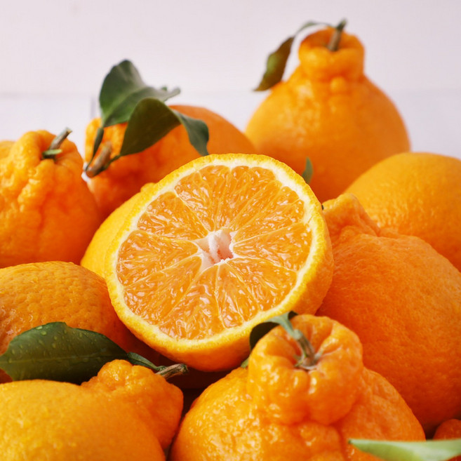 제주 새콤달콤 가정용 한라봉 중과 1.5kg (5-7과), 1박스