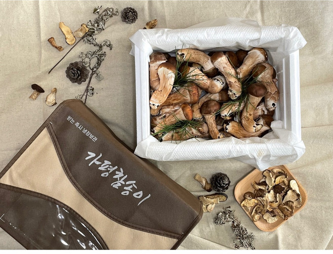 국내산 참송이버섯 1kg 오후3시30분전 주문시 내일도착(주말 및 공휴일 제외) 설날 추석 명절 어버이날 스승의날 선물세트, A급 1kg x 1박스, 1개
