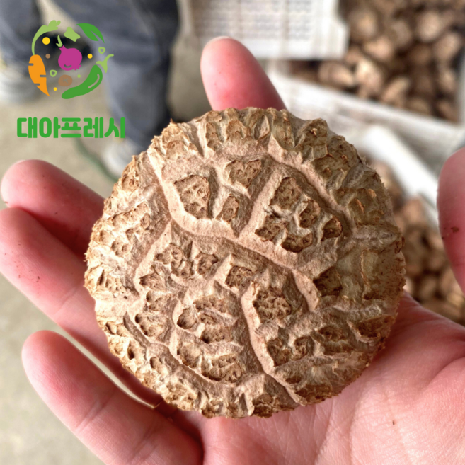 대아프레시 야채 아저씨네 쫄깃 감칠맛 수입 생 표고버섯 500g 1kg 4kg, 1박스, 수입 표고버섯500g