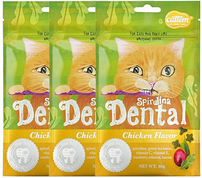 캣템 스피루리나 고양이 덴탈 양치 간식, 치킨, 60g, 3개