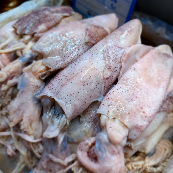 타우린 덩어리 염꼴뚜기젓(1KG), 1kg, 1개