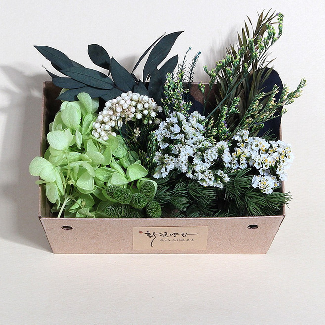 화연양화 꽃도시락 10종 프리저브드 드라이플라워 모음 DIY재료, 06 포레스트