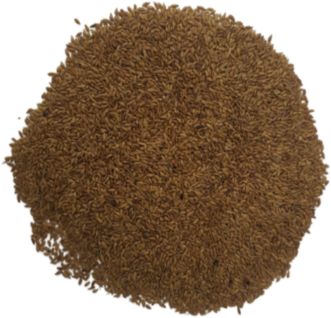 광림아그로 한국잔디씨앗 20g(0.5평용) 최신종자 잔디씨 산소 정원 공원 들 종자 묘지, 1개