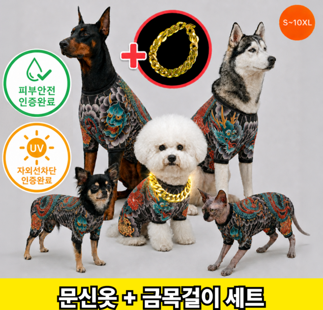 런앤온 반려동물 문신옷 타투 올인원 골드체인 2종 세트, 1개, 개레즈미