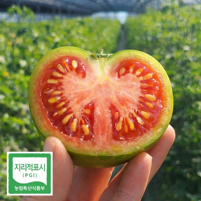 [재구매1위] 새콤짭짤 대저 토마토 짭짤이, 1개, 정품 대저토마토 M 중과 1kg