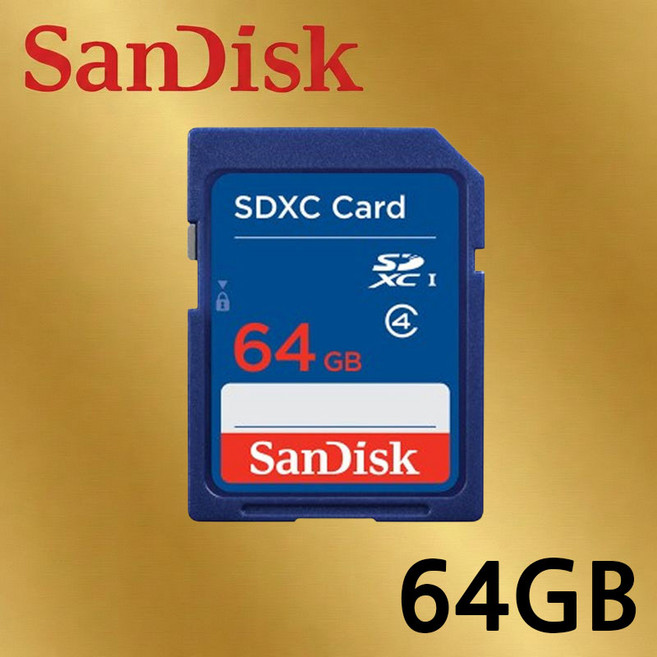 샌디스크 메모리카드 SD 클래스 4, 1개, 64GB
