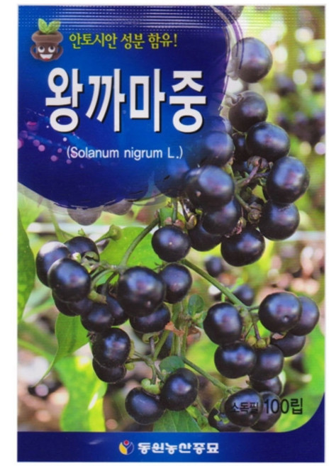 영농사 왕까마중 씨앗 100립 까마중씨 안토시안, 1개