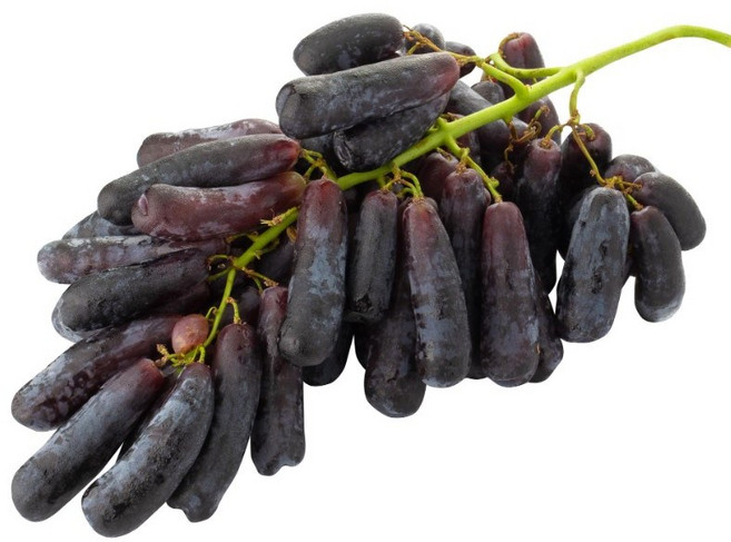 [재구매1위] 블랙사파이어 가지포도 10kg 옵션형 씨없는포도 고당도 껍질째 먹는 포도, 1개, 1kg