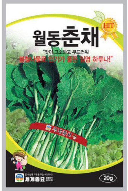 월동춘재 씨앗 20g 종자 유채나물 겨울 채소, 3개