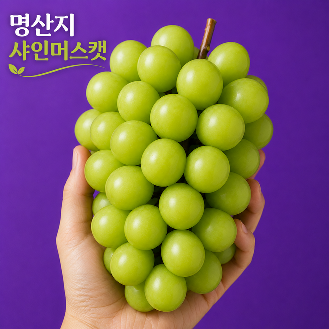 명산지 고당도 샤인머스켓 씨없는포도, 1개, 1kg (2-3수)