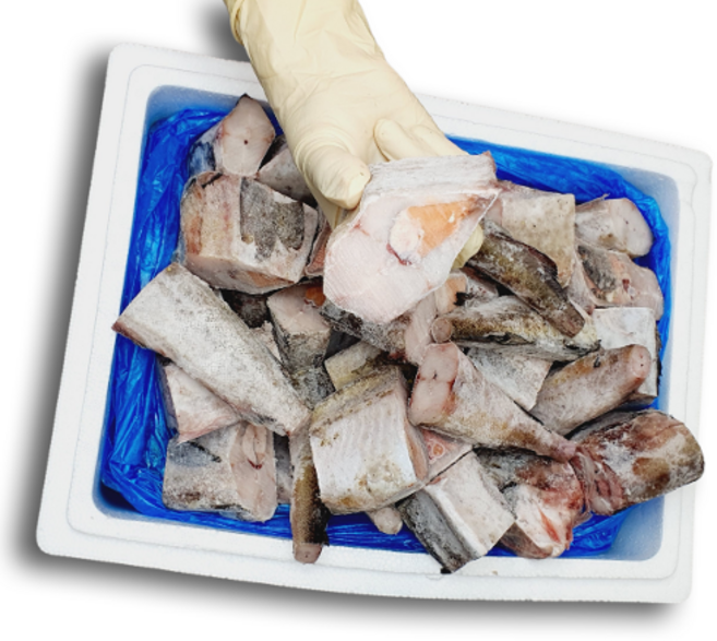 [해피수산] 동태 - 먹기 좋은 크기로 절단만 (원물10kg 손질 후 8.5kg) 7통 8통 (러시아산) 토막 선동 급냉 냉동 업소용 도매