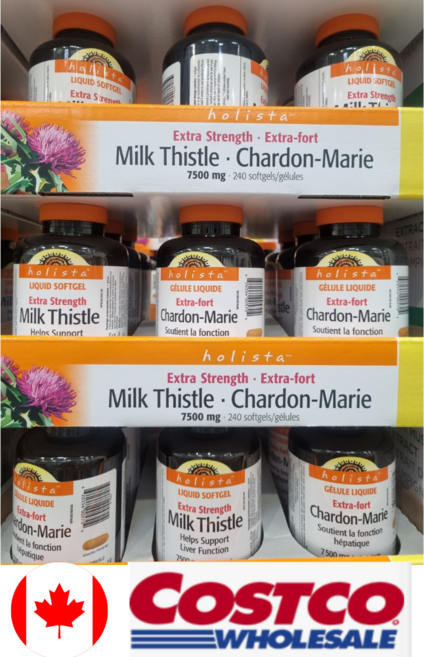 코스트코 Holista Extra Strength 밀크시슬 간보호및 소화불량 완화 효과 250mg 240소프트젤 캐나다직배송, 1개, 240정