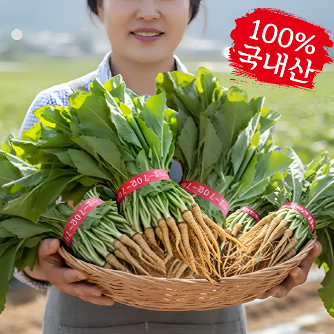 국내산 생 고들빼기 노지 꼬들빼기 왕고들빼기 신선한 김장 김치재료, 1세트, 1.2kg