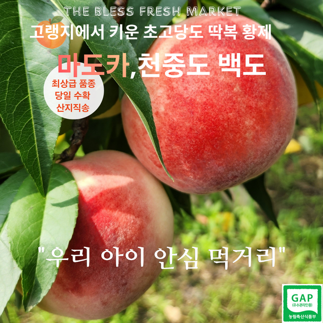 마도카복숭아 고르는 법 — 구매 전 체크리스트 2026