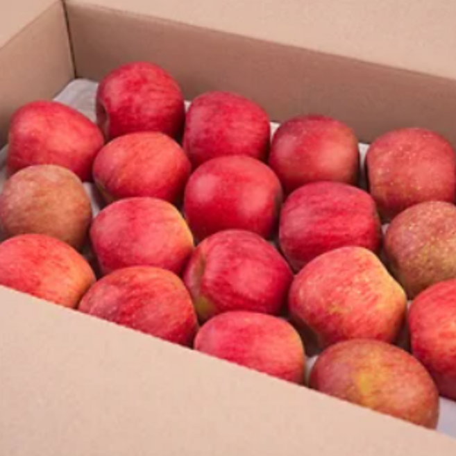 부사 사과 정품 고당도 얼음골 사과 (정품), 1개, 5kg 대과 (정품)