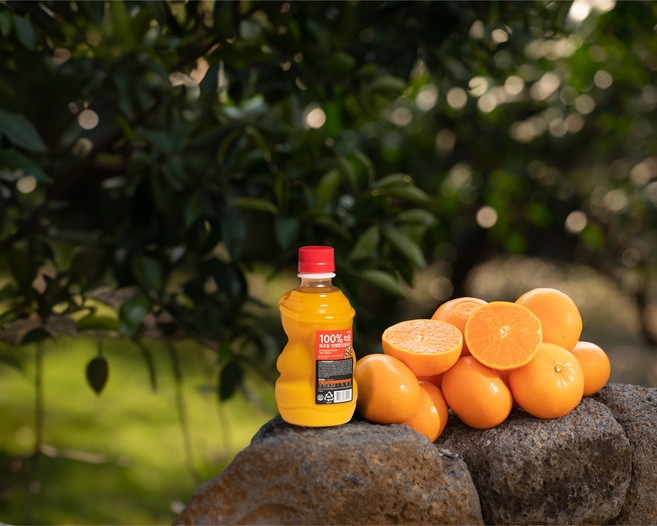 제주랑 천혜향 100%착즙 프리미엄 감귤주스 1box, 320ml, 20개