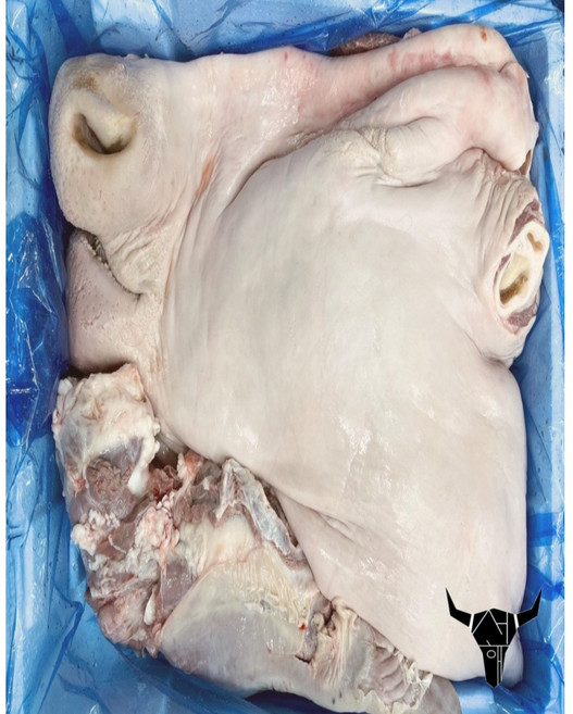 거세소머리 17kg 발골 소머리 (우설포함 뼈추가가능), 1개