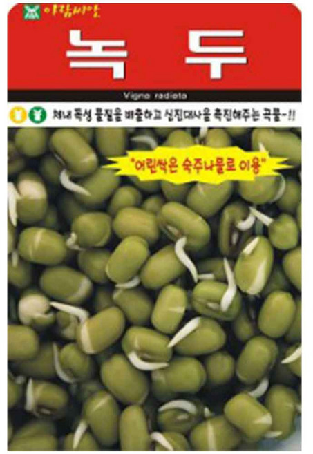 녹두 씨앗 30g 아람