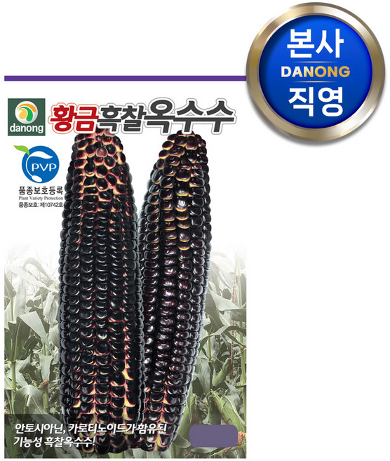 황금 흑찰옥수수 씨앗 70립 . 검은 검정색 옥수수 채소 구황작물 파종 씨 종자., 1개