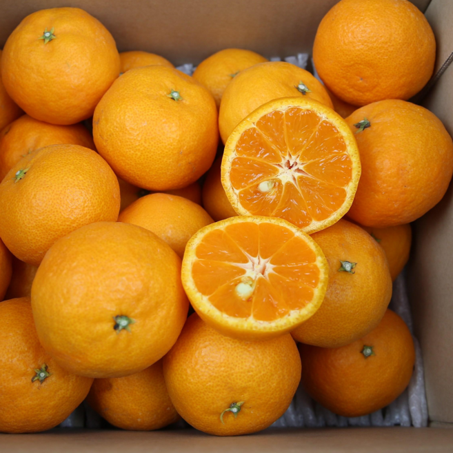 [달보드레농원] 제주 명품 고당도 카라향, 1박스, 대과 10kg