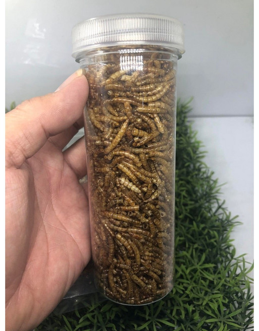 F邦邦水族 麵包蟲乾 刺蝟/倉鼠/黃金鼠/松鼠/寵物鼠/蜜袋鼯/爬蟲類/蜥蜴/鳥類/觀賞魚/兩棲爬蟲食用零食, 1個, 300ml(約50克)1罐 10送1, 300ml