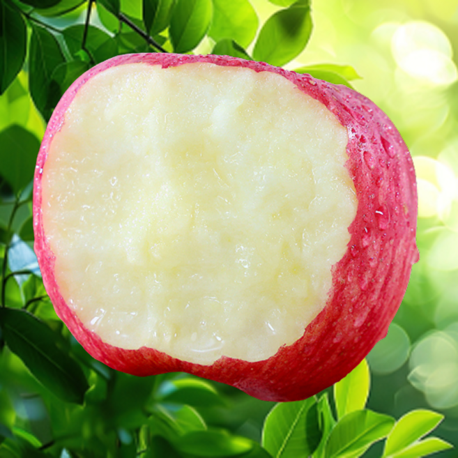 [폭탄세일] 산지직송 초고당도 못난이사과, 1박스, 10kg