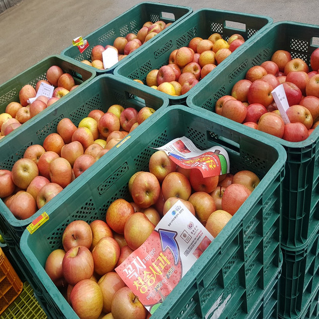 CS1%미만 청담농수산 가정용 청송 부사사과, 1개, 5kg 혼합과