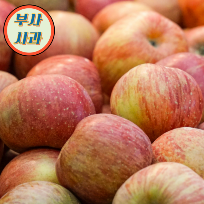 아삭아삭 고당도 산지직송 청송 안동 가정용 못난이 부사 사과, 1박스, 가정용 부사사과 2kg 혼합