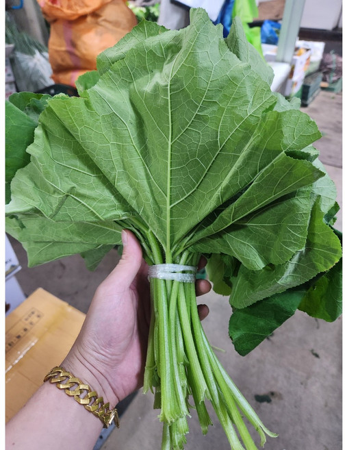 [맛있는] 호박잎 호박잎나물 조선 호박잎 쌈, 호박잎 1단, 1개